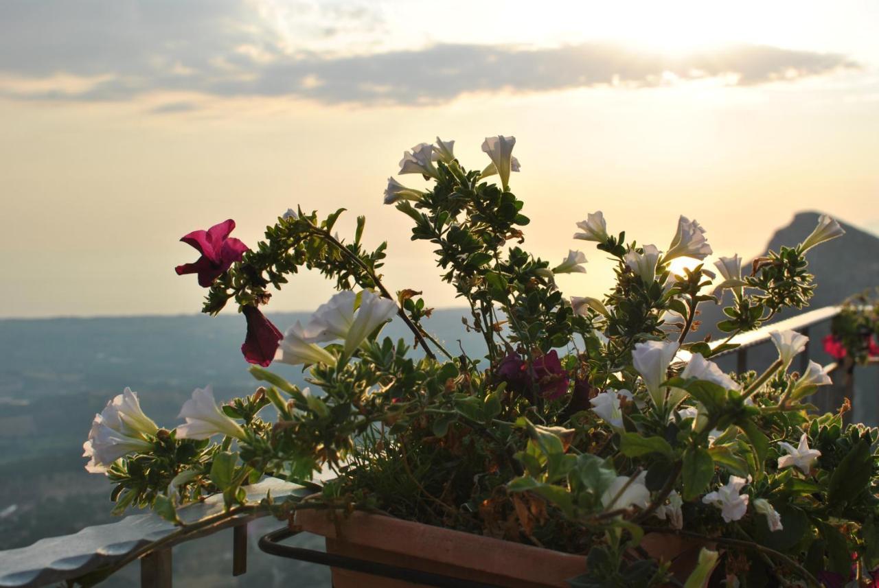 B&B Casa Letizia Trentinara ภายนอก รูปภาพ